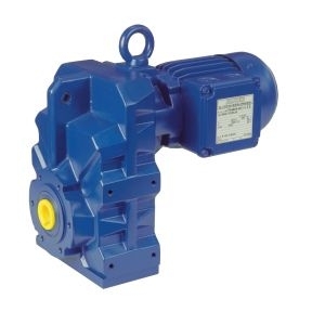 BF Series Gear Motor