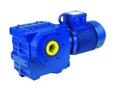 BS Series Gear Motor